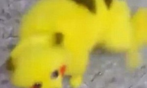 invaded相关阅读