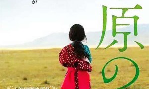 language相关阅读