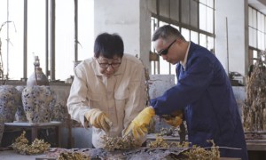 copper相关阅读