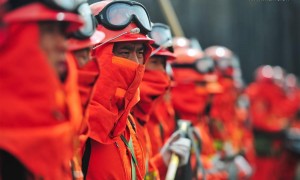 battling相关阅读