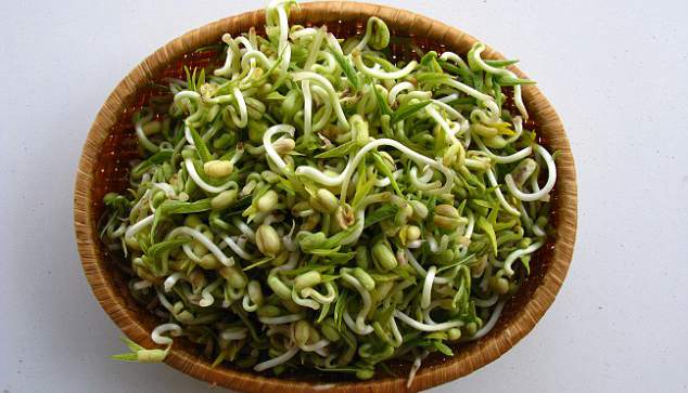 食物中毒专家揭秘:六种食物可能含大量细菌 食物中毒专家揭秘:六种食物可能含大量细菌