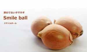 may be相关阅读