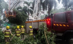 台风妮妲才袭香港，又席卷中国南部