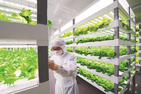 Sustainable food production looking up Sustainable food production looking up