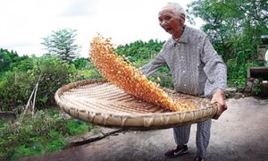 chore相关阅读