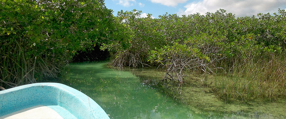 Internatio<em></em>nal Day for Biological Diversity Internatio<em></em>nal Day for Biological Diversity