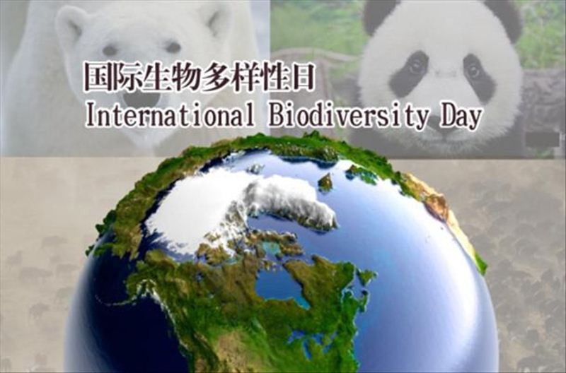 Internatio<em></em>nal Day for Biological Diversity Internatio<em></em>nal Day for Biological Diversity