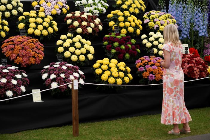 CCTV9英语新闻:伦敦切尔西花展开幕 CCTV9英语新闻:伦敦切尔西花展开幕