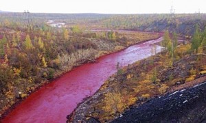 environmental相关阅读