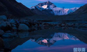 reflection相关阅读