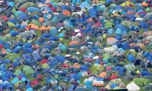 festival相关阅读