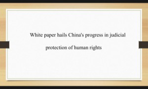 白皮书为中国司法领域人权保障的进展点赞