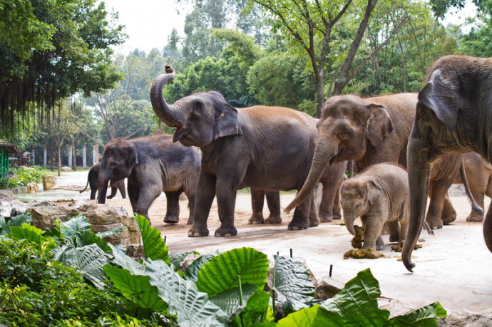 Best theme parks to visit in China Best theme parks to visit in China