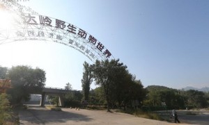 picc相关阅读