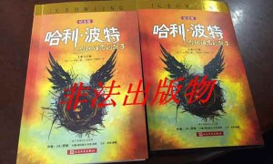 终于买到心心念念的《哈利波特与被诅咒的孩子》，，翻开之后却受