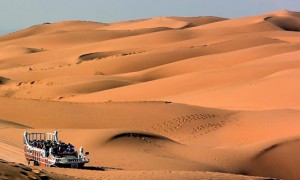 desert相关阅读