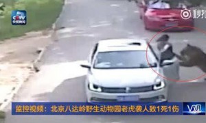 八达岭野生动物园老虎咬人事件伤者首次露面 索赔200余万元
