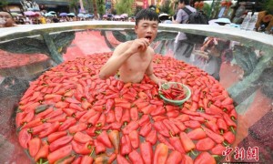 chilli相关阅读