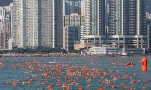 harbour相关阅读