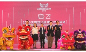 双十一升级怎么玩？准备好剁手了吗？