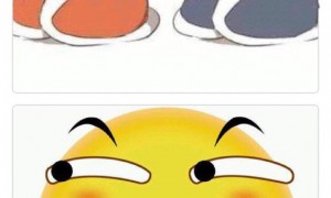 inclusive相关阅读