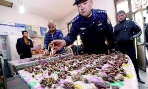 北京某餐馆菜谱首推炸麻雀 警方突查救千只鸟