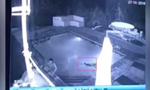 couples相关阅读