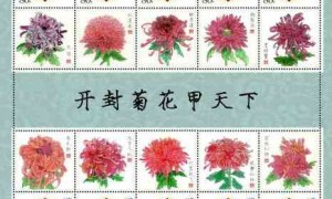 records相关阅读