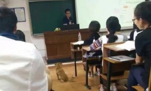 work in相关阅读