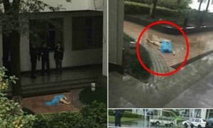 坠相关阅读