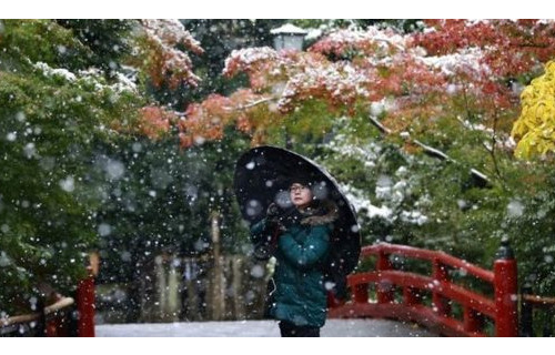 54年了,东京首遇11月“初雪” 54年了,东京首遇11月“初雪”