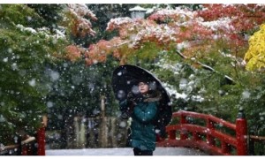 54年了，东京首遇11月&ldquo;初雪&rdquo;