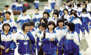 brushes相关阅读