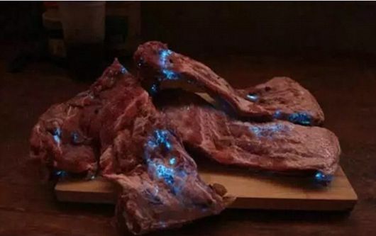 恐怖!猪肉夜里泛出蓝光 “荧光猪肉”你见过吗? 恐怖!猪肉夜里泛出蓝光 “荧光猪肉”你见过吗?