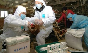 as well相关阅读