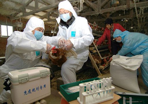 中国发现5例H7N9禽流感病例 中国发现5例H7N9禽流感病例