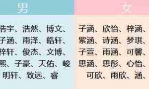 50年后跳广场舞的大妈大爷们可能都叫&ldquo;梓轩&rdquo;、&ldquo;子涵&rdquo;！