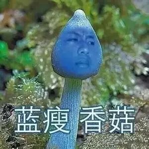 2016网络热词盘点:蓝瘦香菇、套路英语怎么说? 2016网络热词盘点:蓝瘦香菇、套路英语怎么说?