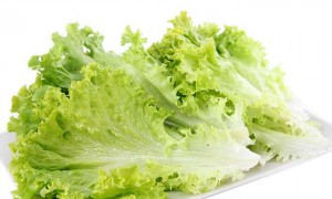 lettuce相关阅读