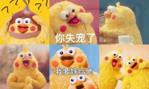 exaggerate相关阅读