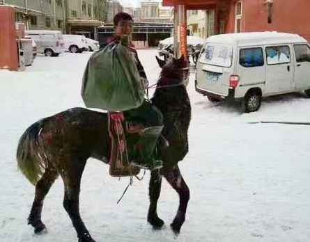 内蒙古降大雪,快递小哥骑马送快递! 内蒙古降大雪,快递小哥骑马送快递!