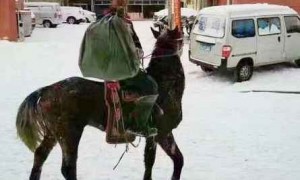 内蒙古降大雪，快递小哥骑马送快递！