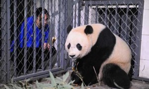 safely相关阅读