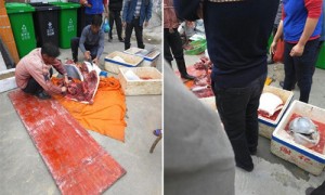butcher相关阅读