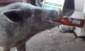 thirst相关阅读