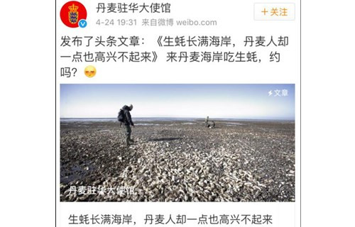 丹麦生蚝泛滥,中国网友支招 丹麦生蚝泛滥,中国网友支招