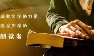 hit show相关阅读