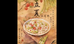 solar term相关阅读
