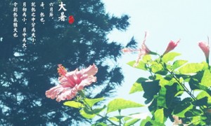 Major Heat相关阅读