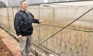 中国教授研制出&ldquo;可以喝&rdquo;的农药